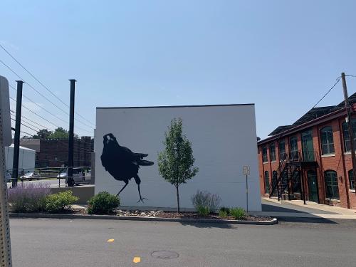 The Inquisitive Crow by Whitney Robbins 56 Hope Street
